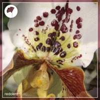 I Just Want You To Smile - EP - Dancing on Lego & La Santa Music