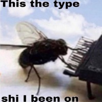 hawk (feat. ybb) - Single - Danny Prolific