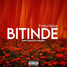 BITINDE (feat. FRIDAYSPINZ) 24 Dark