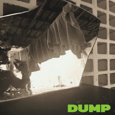 Dump