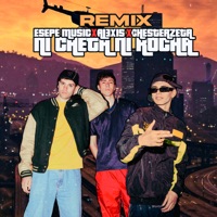 Ni Cheta Ni Rocha (Remix) - Single - Esepe Music & ALEXIS FLP