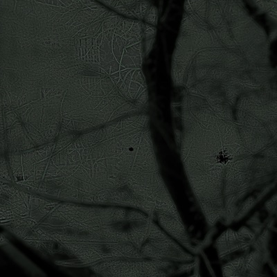 Flaws (feat. Tsvr) - Single