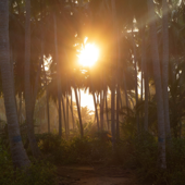 Dub of Light