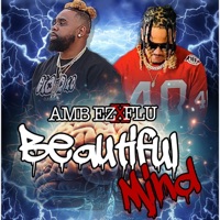 Beautiful Mind (feat. Flu) - Single - Amb EZ