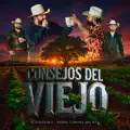 Consejos del Viejo