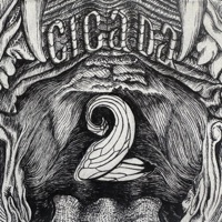 Album cover for Web by Cicada