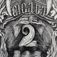Cicada - Web