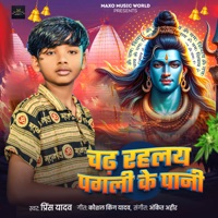 Chad Rahalay Pagali Ke Pani - Single - prince Yadav