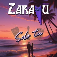 Solo tú (Español) - Single - Zarayú