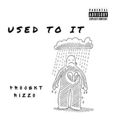 Used To It - Single