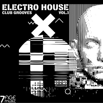 Electro House Club Grooves, Vol. 1