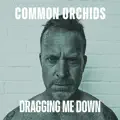 Dragging Me Down