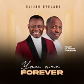 You Are Forever (feat. Dunsin Oyekan) artwork