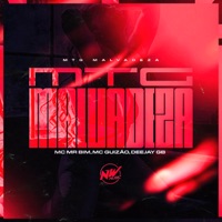 Malvadeza - Single - Mc Guizão, DEEJAY GB & Mc Mr. Bim