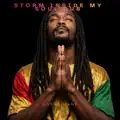 Storm Inside My Soul Dub