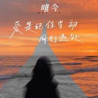 爱是记住当初,同行远处 - Single - 唯今