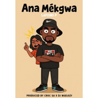 Ana Mekgwa (feat. Croc SA) - Single - LAPZINO P