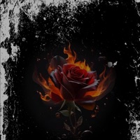 Lori (feat. THEPLUGDINO) - Single - Maady Mula