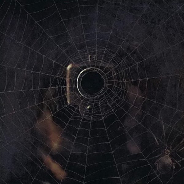 洋楽 Westside Gunn - The Black Widow [Black] Black Widow - Song by Rome Streetz, Daringer & Westside Gunn