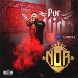 Sueños & Pesadillas (feat. Blanco Balling) looney g