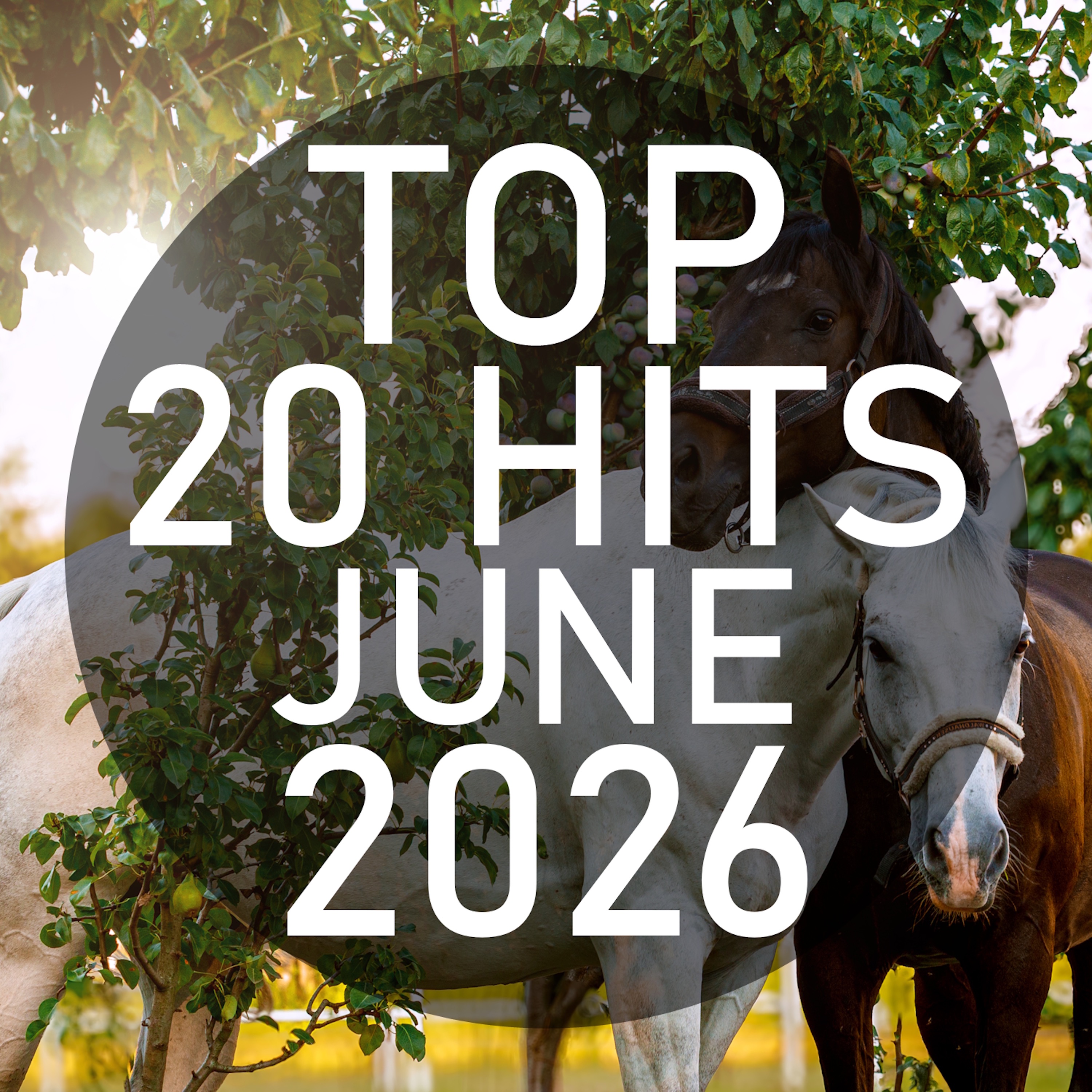 Top 20 Hits June 2026 (Instrumental)