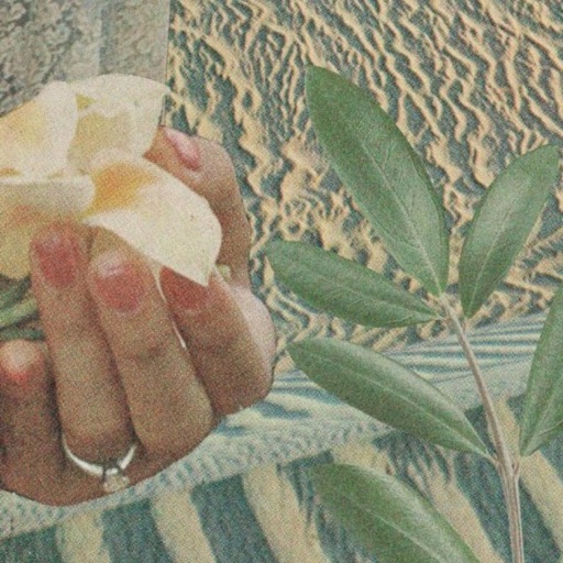 Album artwork