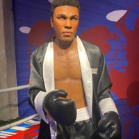 Come correct - Single - ShadStackzz