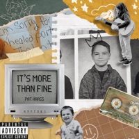 its more than fine - Pat Haass