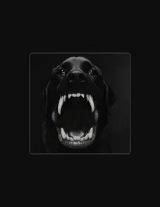 Ακούστε περιεχόμενο από Paxjune, παρακολουθήστε μουσικά βίντεο, διαβάστε το βιογραφικό, δείτε ημερομηνίες περιοδείας, και πολλά ακόμη!