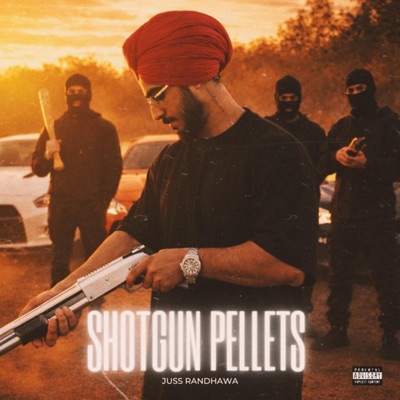 SHOTGUN PELLETS - Single