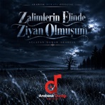 Zalimlerin Elinde Ziyan Olmuşum (Ağlatan Damar Arabesk) - Single
