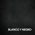 Blanco y Negro