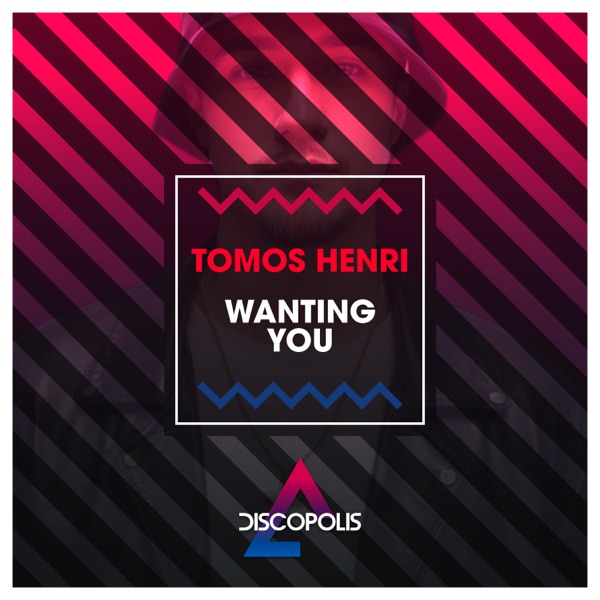 Wanting You - Single