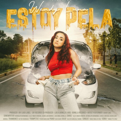 Estoy Pelá - Single