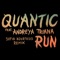Run (feat. Andreya Triana) - Quantic lyrics