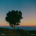 World On Fire
