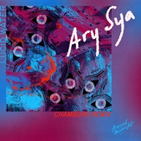 Lucid Water (Chambord Remix) - Single - Ary Sya & Chambord