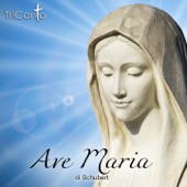 Ave Maria di Schubert artwork