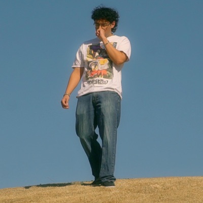 Fall into the Sky - Single