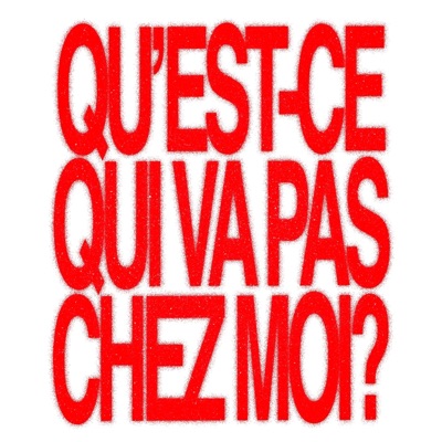 QU'EST-CE QUI VA PAS CHEZ MOI ? - Single