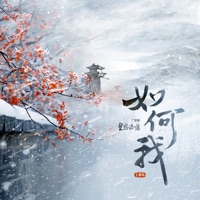 如何我 (广播剧《皇恩浩荡》主题曲) - Single - Babystop_山竹