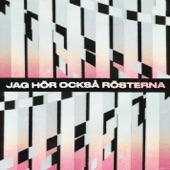 Jag hör också rösterna artwork