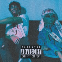 Bird Filez - Single - AK Grey