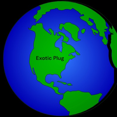 Exotic Plug - Single