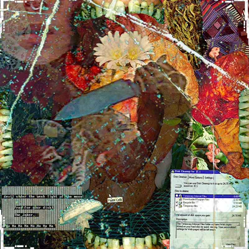 scratchingatthewalls bottom surgery Song Lyrics, Music Videos & Concerts