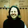 Brain Like Computer