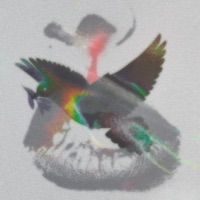 cocaine nosebleeds - Single - Prøwess