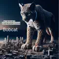 Bobcat