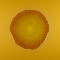 Main Squeeze - Single - Matt Giard