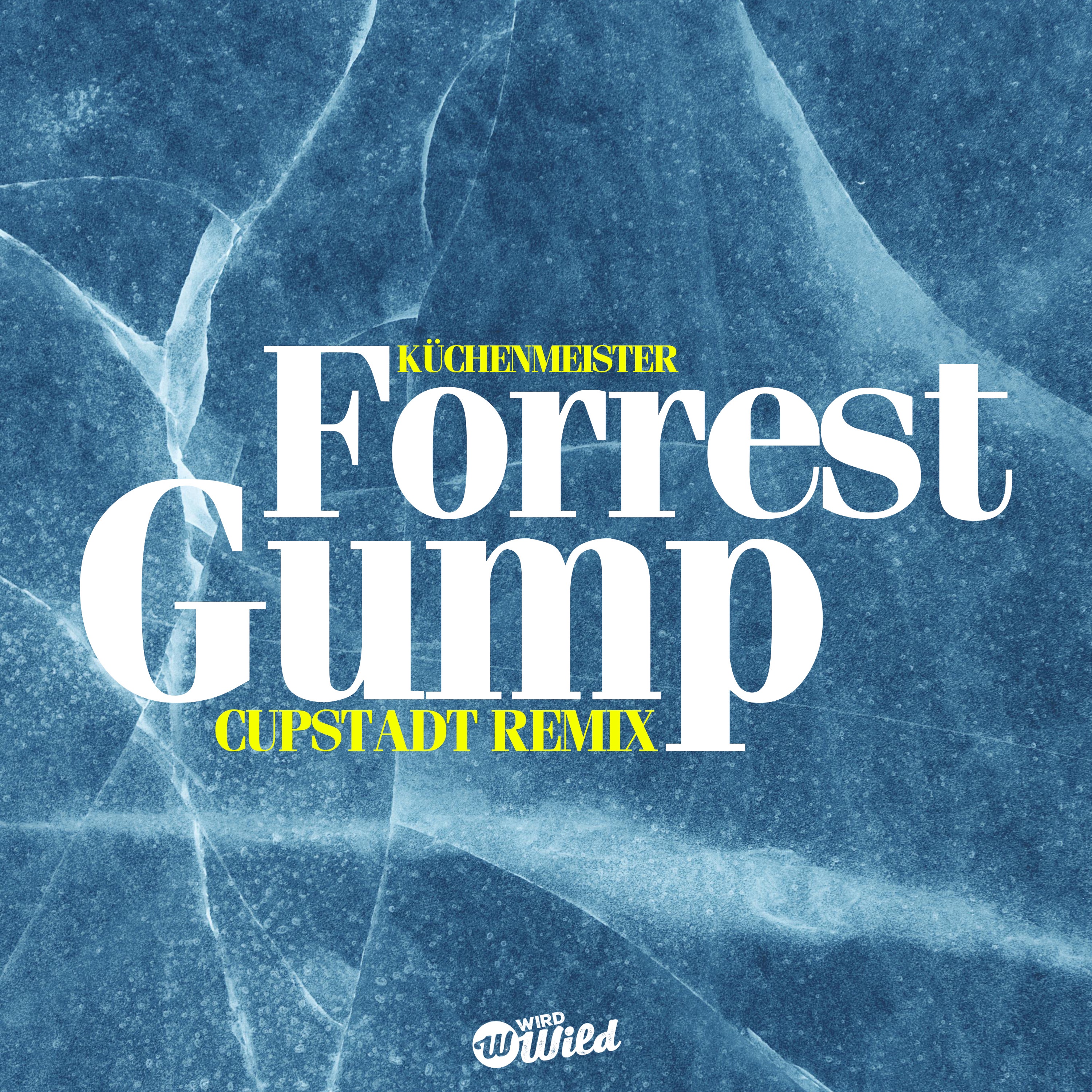 Forrest Gump (CUPSTADT Remix) - Single